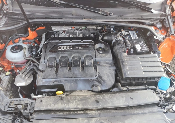 Audi Q3 cena 59999 przebieg: 50000, rok produkcji 2019 z Otmuchów małe 352